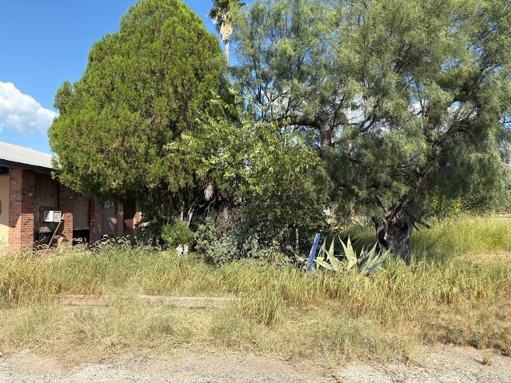 20,625 acres in Zavala County gallery image 3