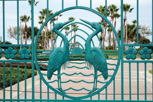 0 acres in Cameron County gallery image 4