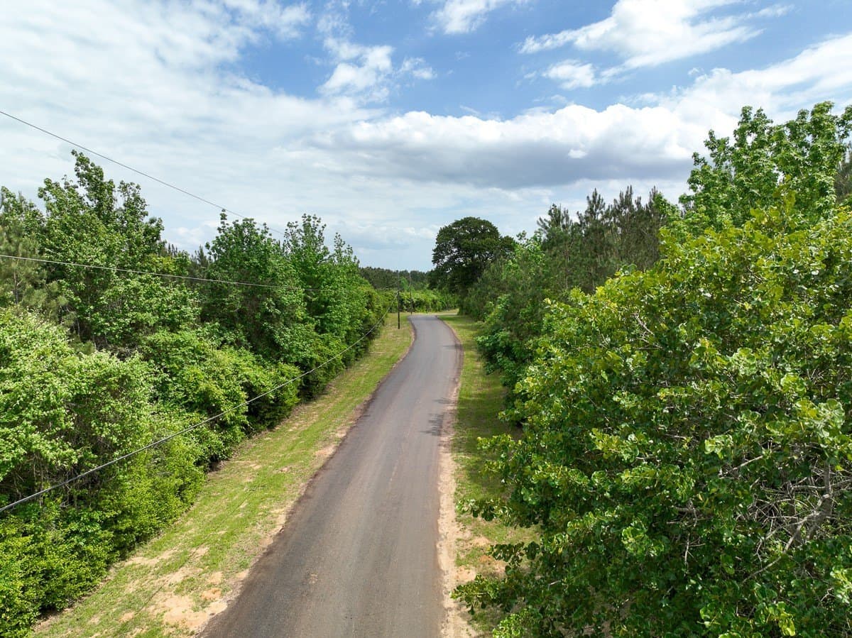 36 acres in Houston County gallery image 2