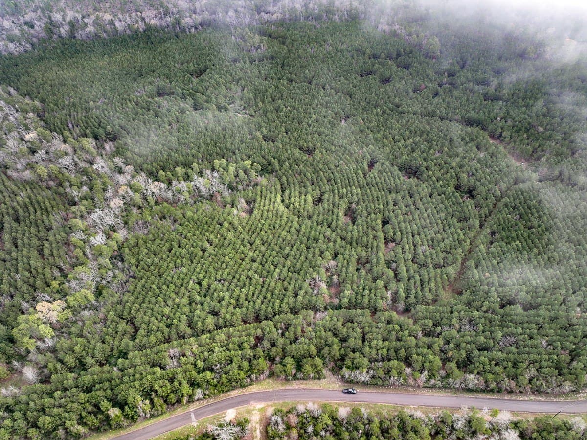 36 acres in Houston County