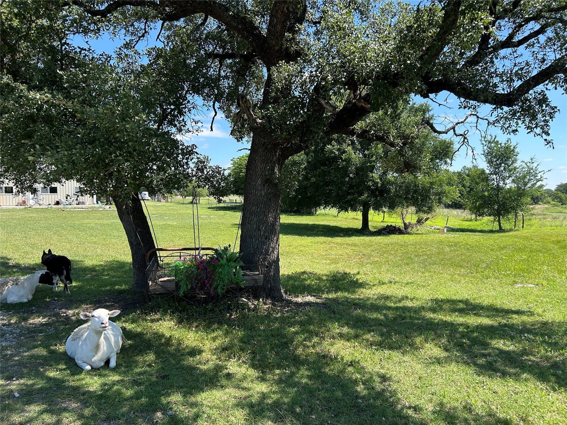 12 acres in Mills County - photo 4