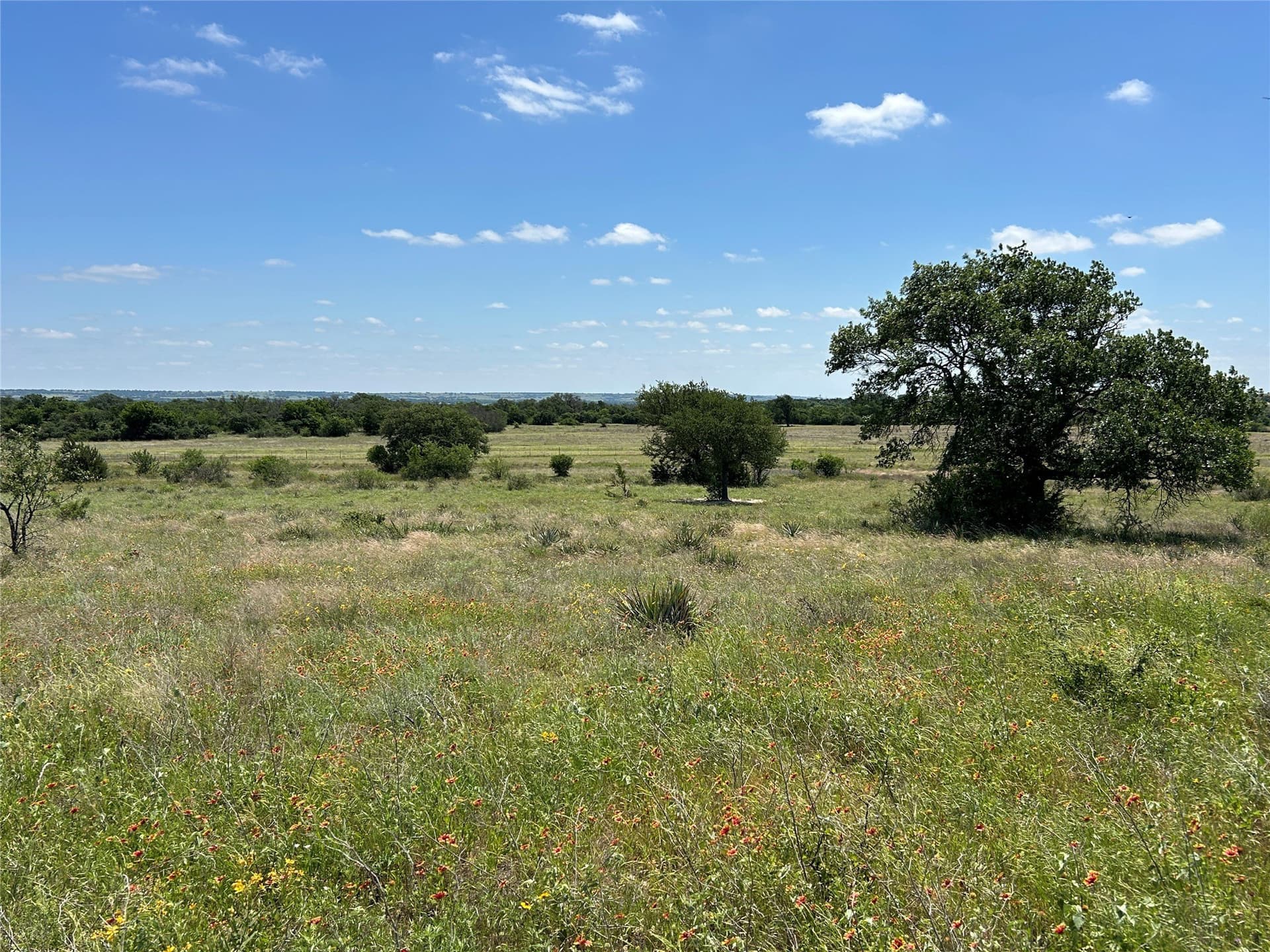12 acres in Mills County - photo 5