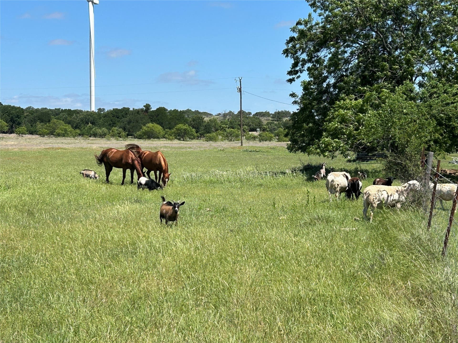 12 acres in Mills County - photo 2