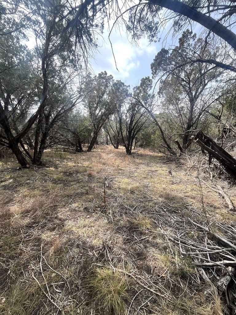 6.29 acres in Uvalde County - photo 6