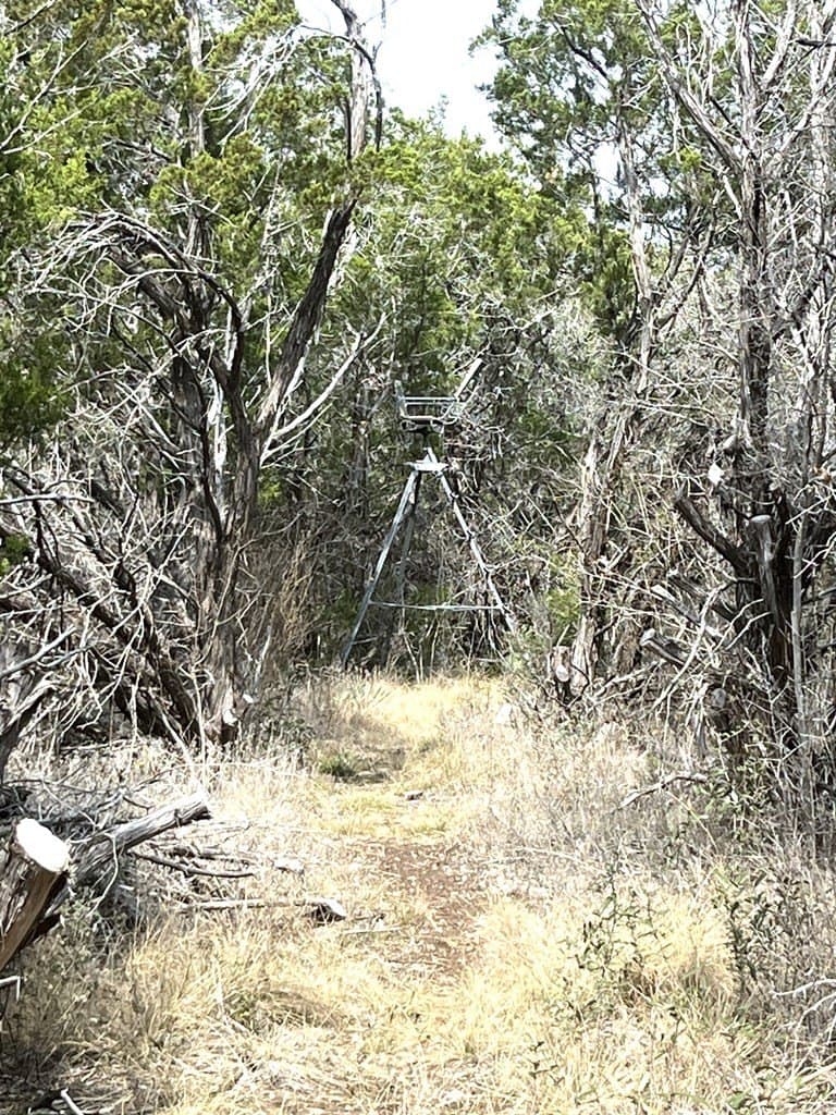 6.29 acres in Uvalde County - photo 24