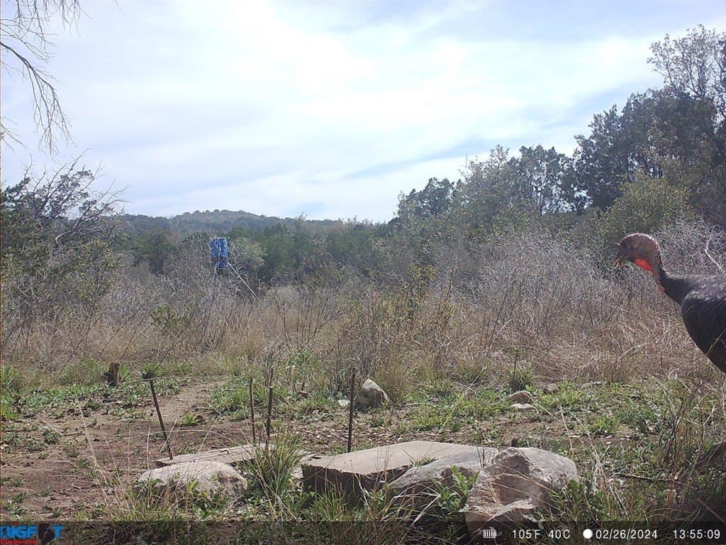 6.29 acres in Uvalde County - photo 37