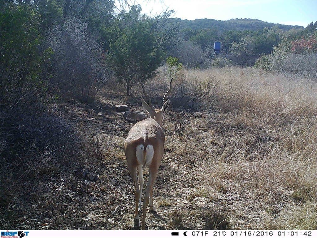 6.29 acres in Uvalde County - photo 32