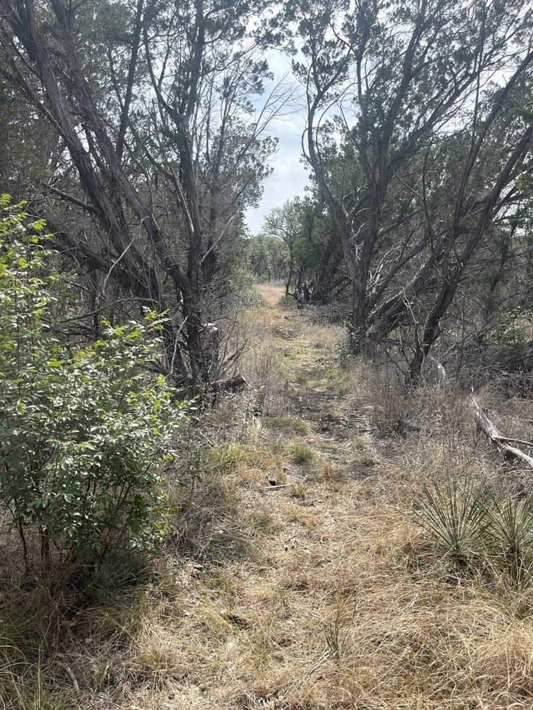 6.29 acres in Uvalde County - photo 26