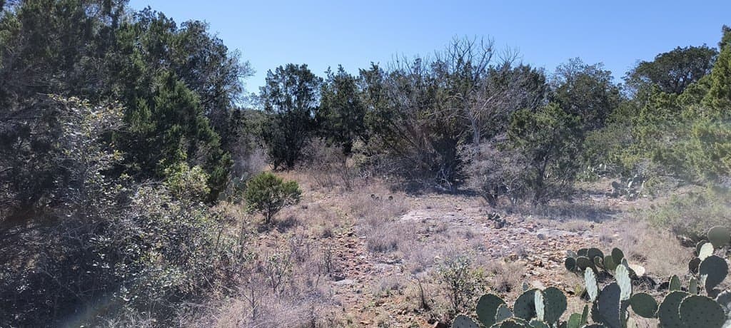 6.29 acres in Uvalde County - photo 29