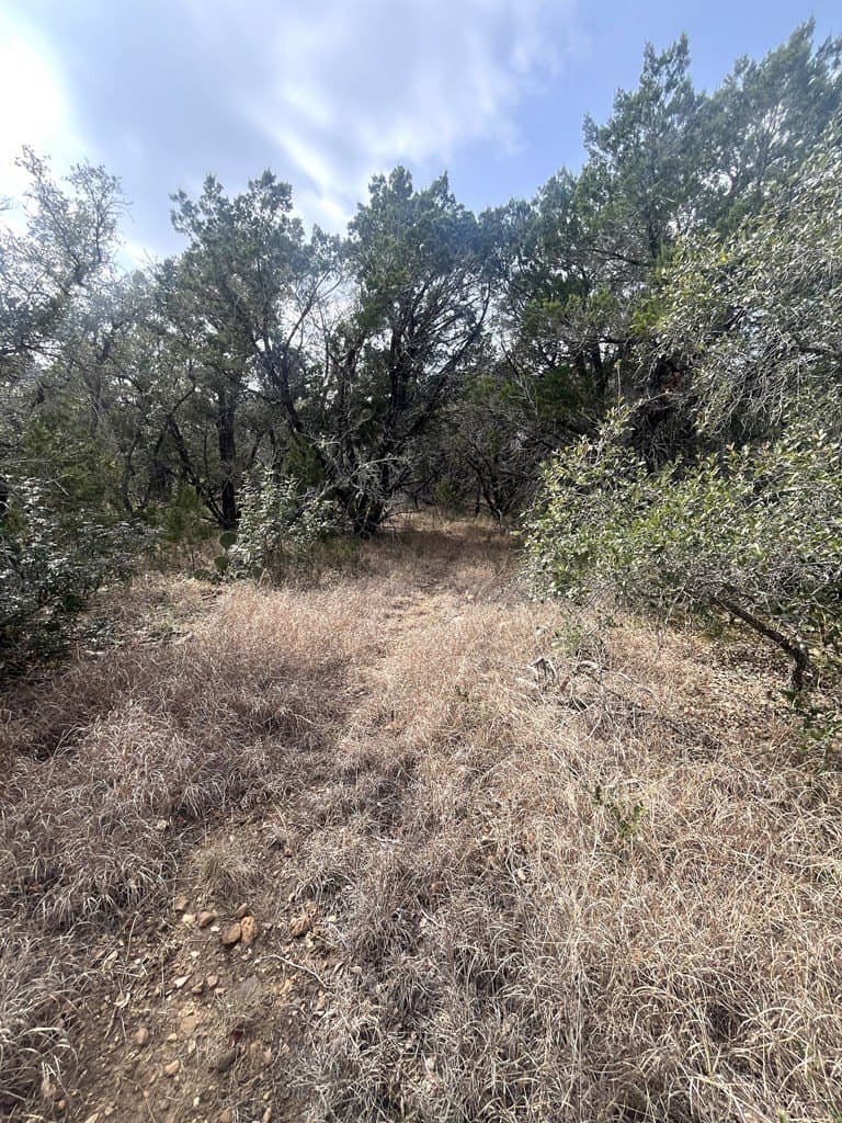 6.29 acres in Uvalde County - photo 9