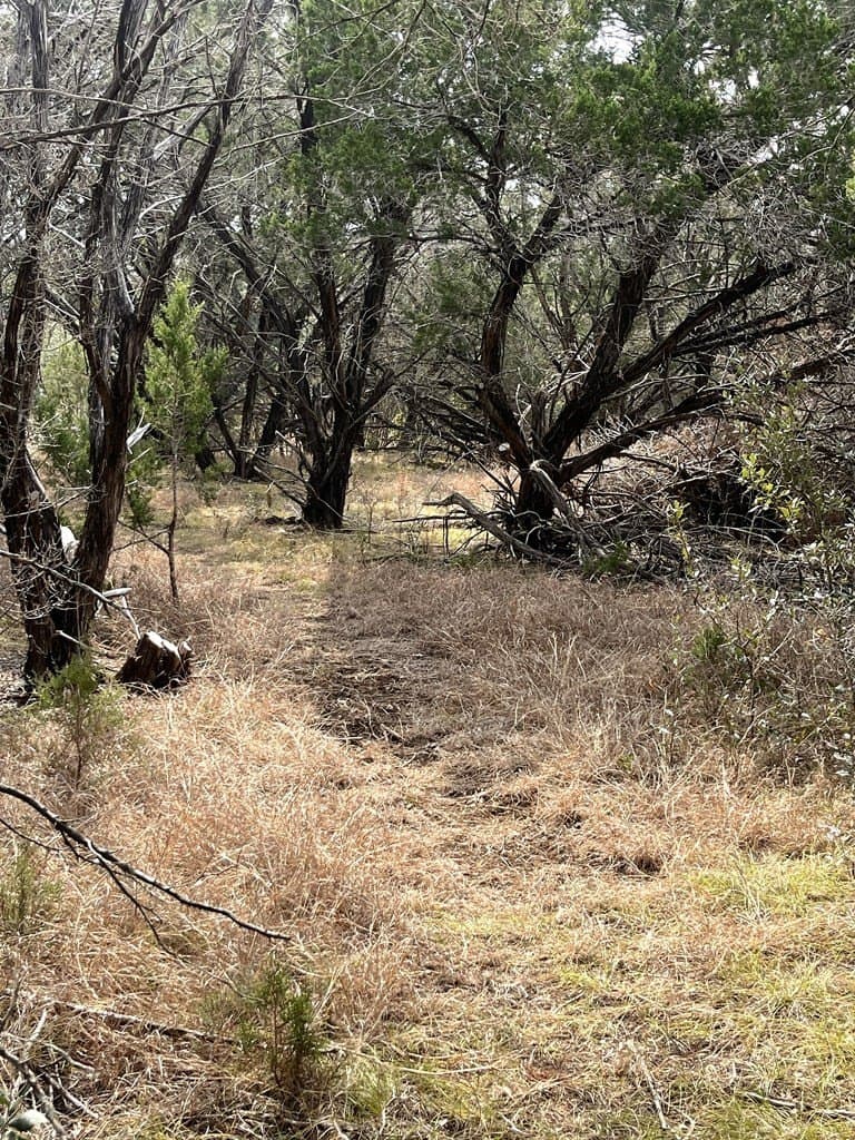 6.29 acres in Uvalde County gallery image 4