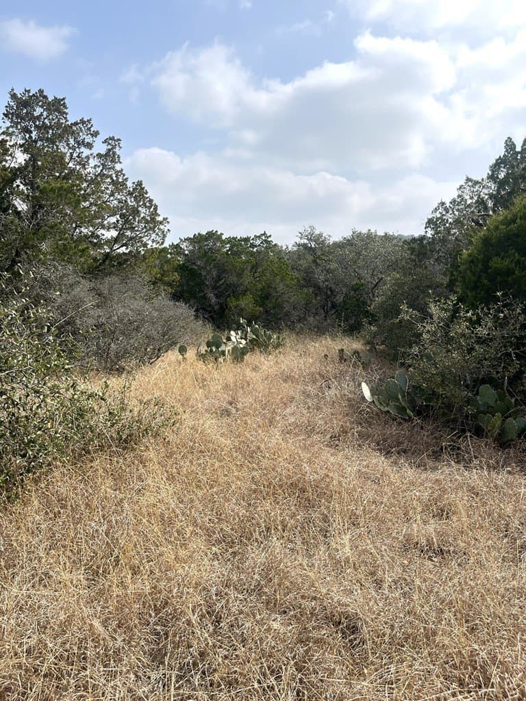 6.29 acres in Uvalde County - photo 13