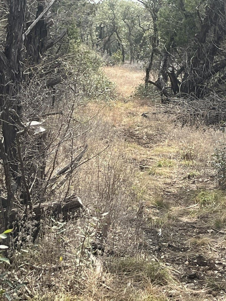 6.29 acres in Uvalde County - photo 25