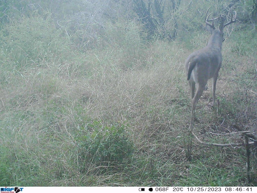 6.29 acres in Uvalde County - photo 34