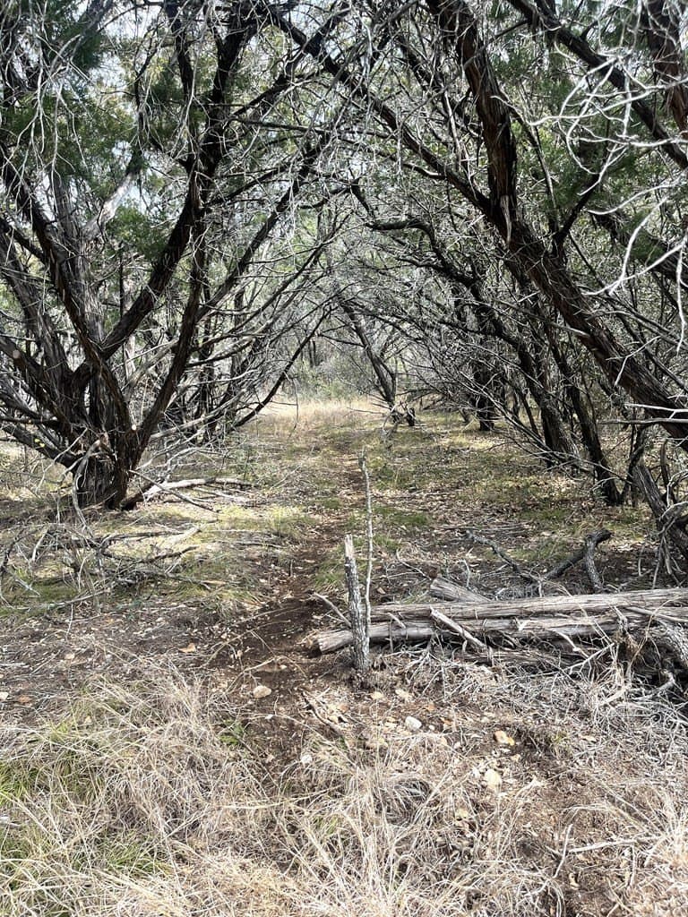 6.29 acres in Uvalde County - photo 22