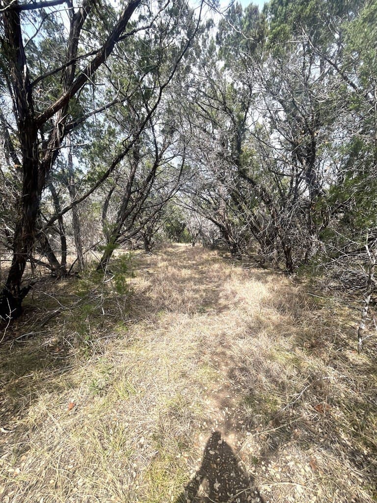 6.29 acres in Uvalde County - photo 8