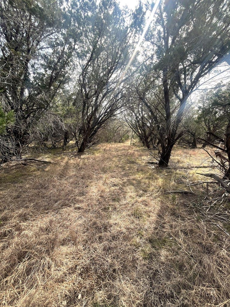 6.29 acres in Uvalde County featured view