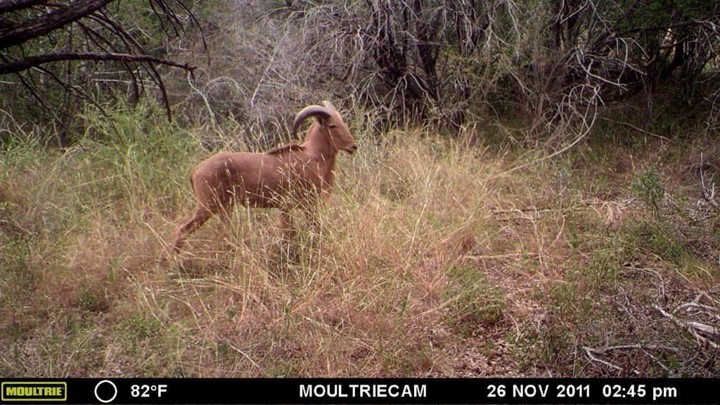 6.29 acres in Uvalde County - photo 30