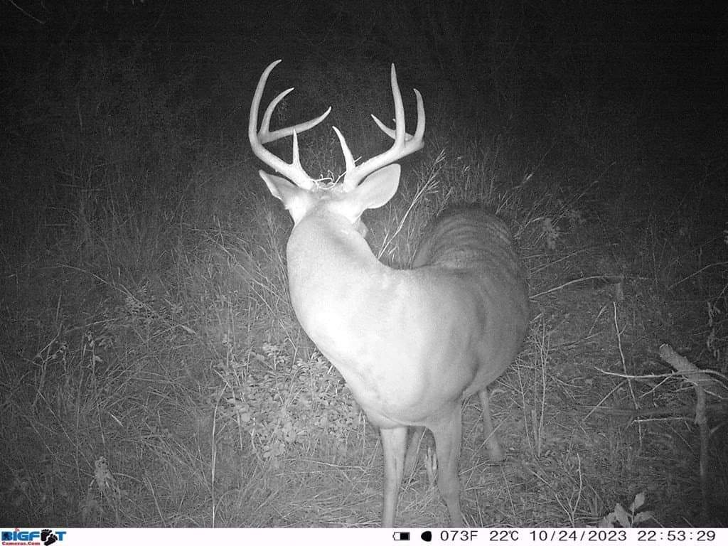 6.29 acres in Uvalde County - photo 33