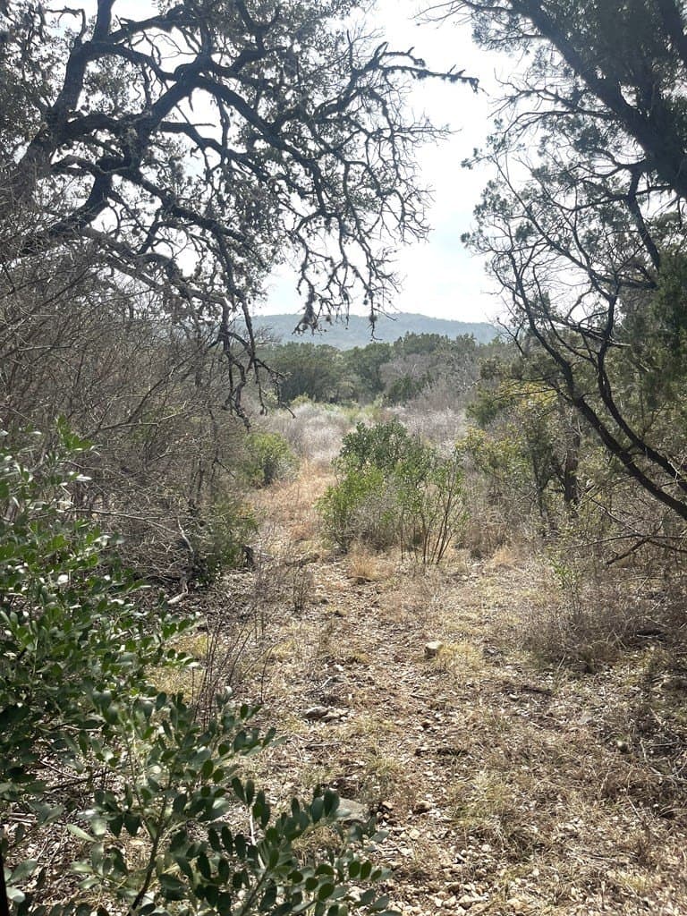 6.29 acres in Uvalde County - photo 14