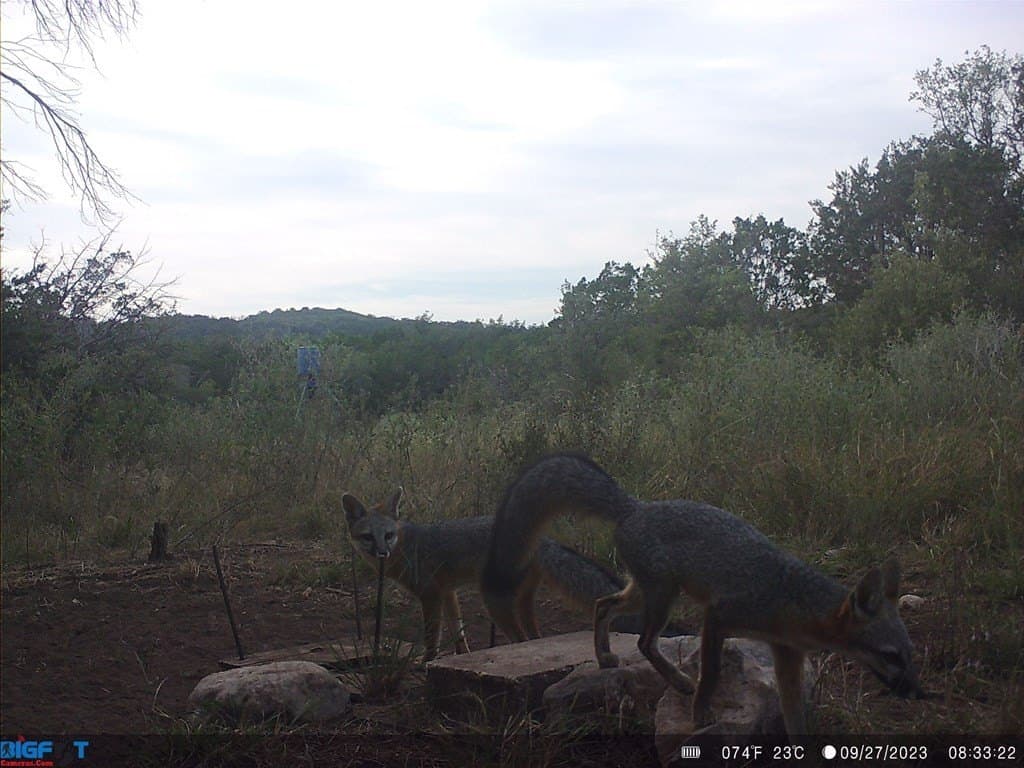 6.29 acres in Uvalde County - photo 35
