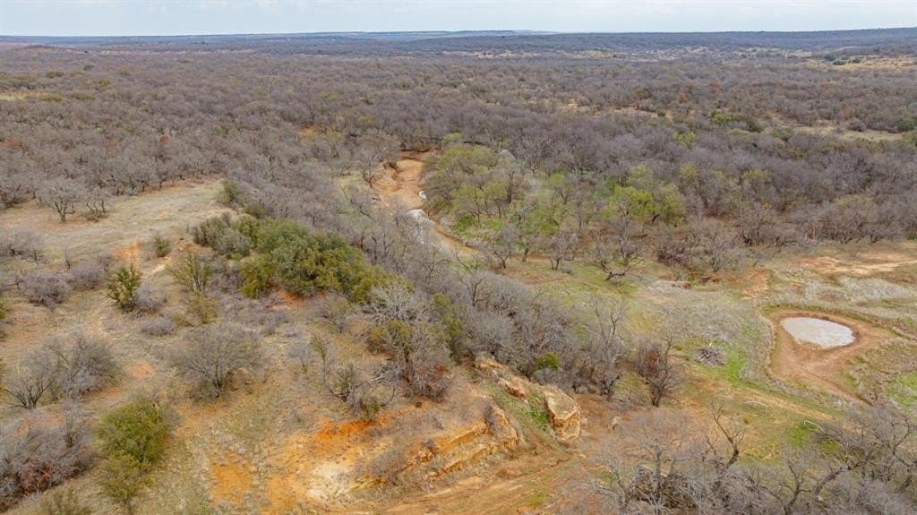 55.47 acres in Stephens County gallery image 3
