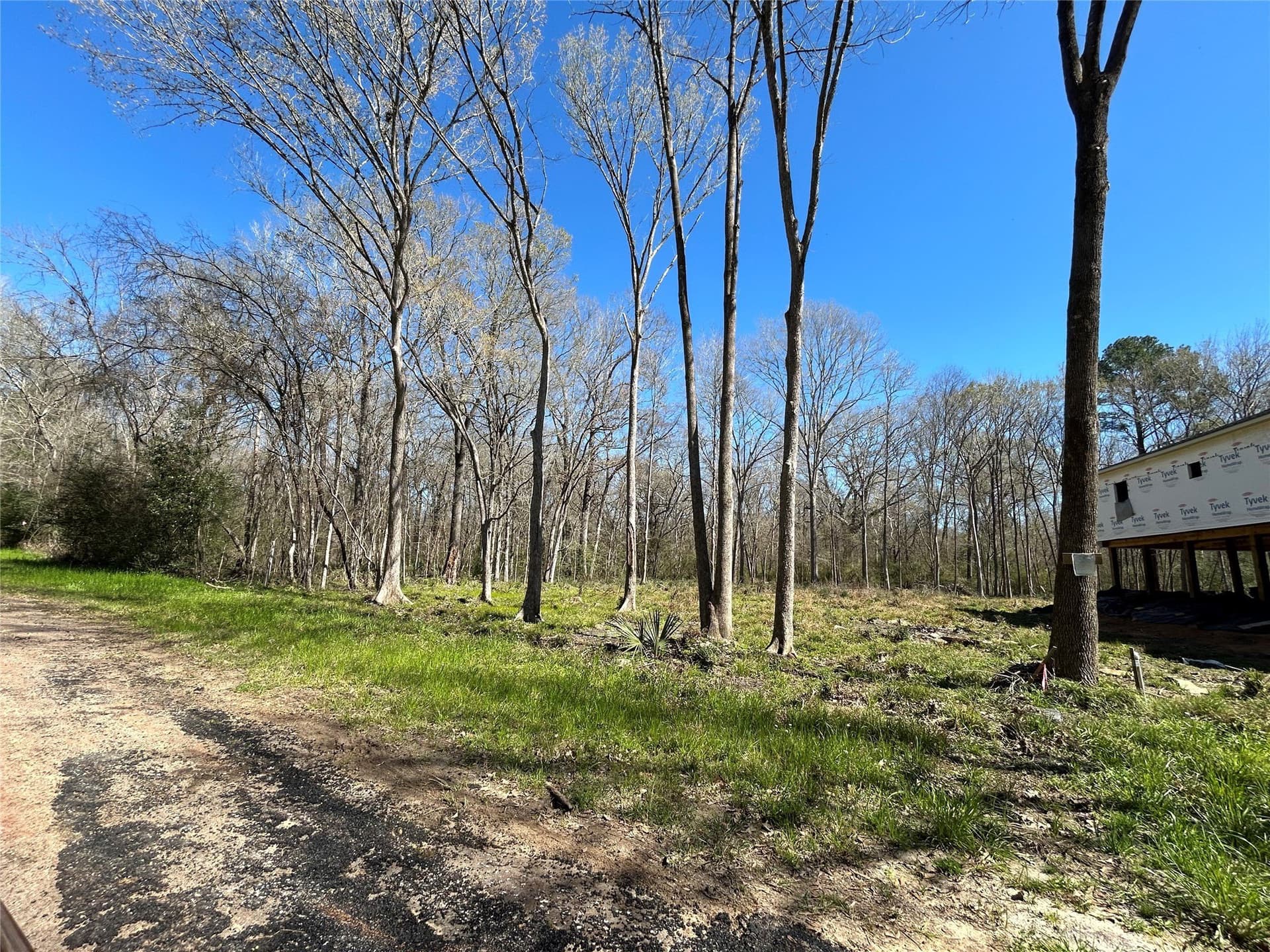 0.51 acres in Montgomery County - photo 8