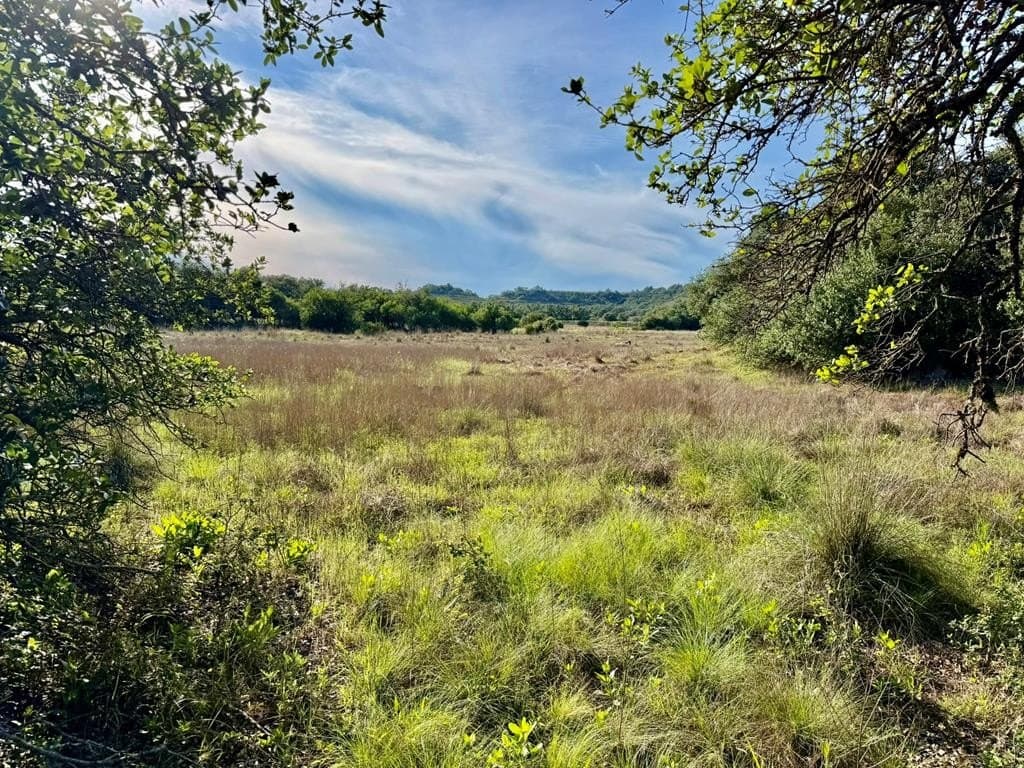 25.39 acres in Blanco County - photo 42