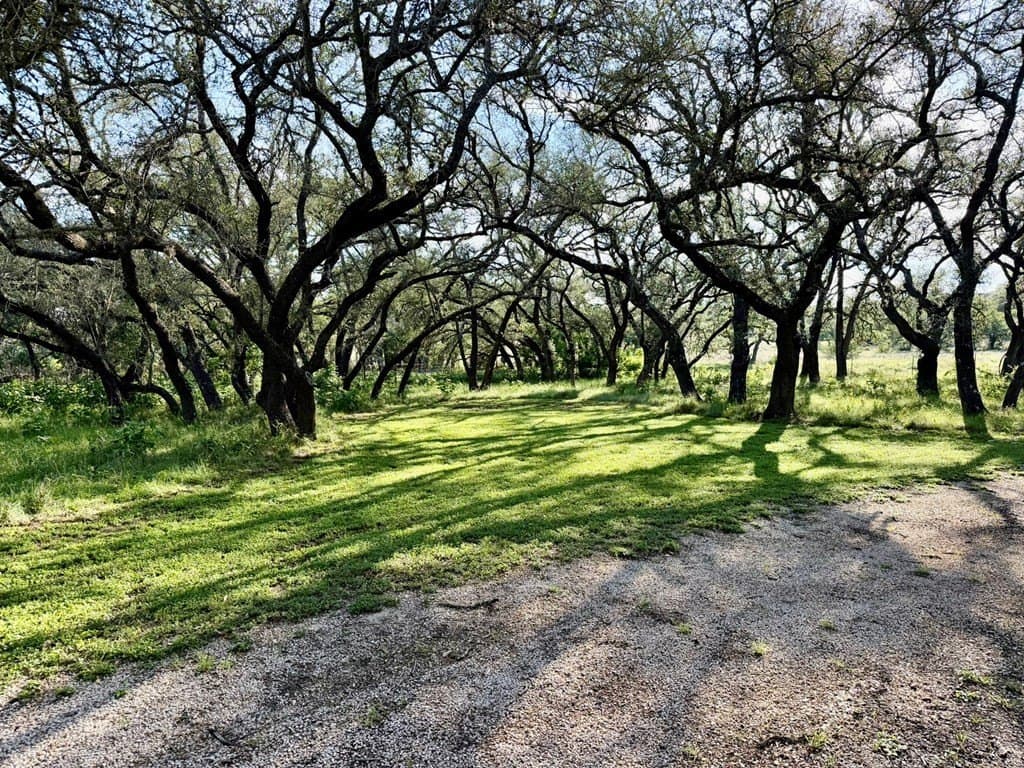 25.39 acres in Blanco County - photo 30