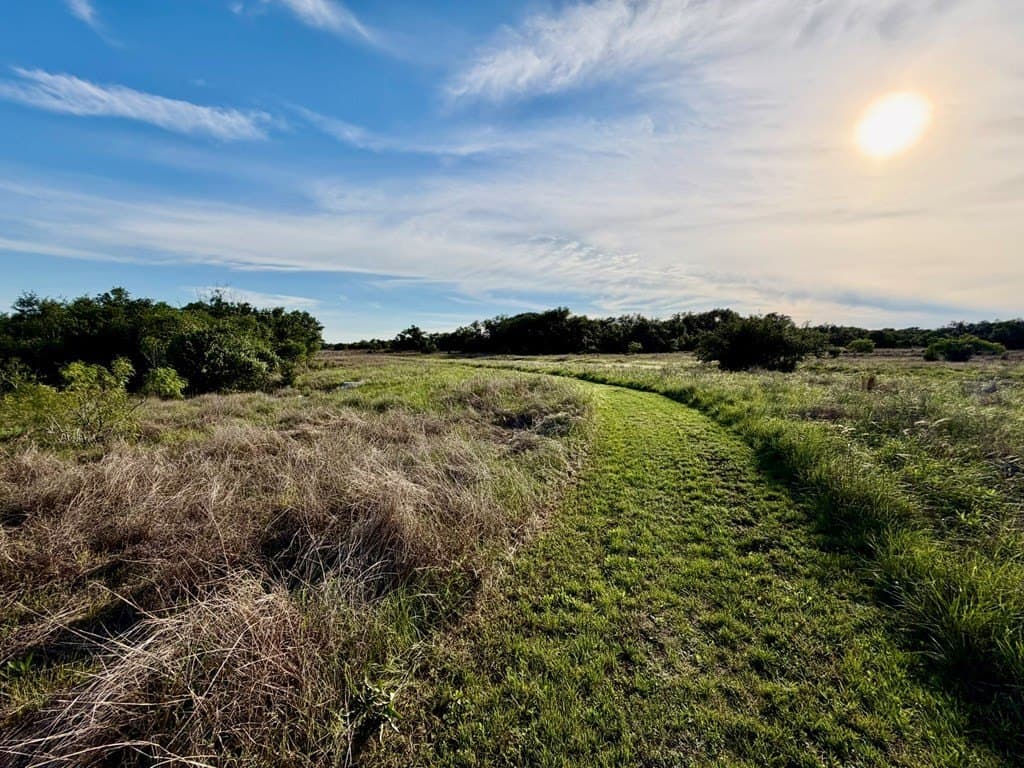 25.39 acres in Blanco County - photo 33