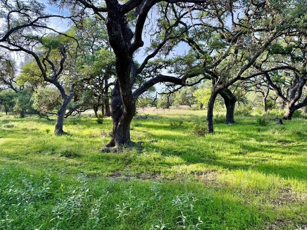 25.39 acres in Blanco County - photo 34