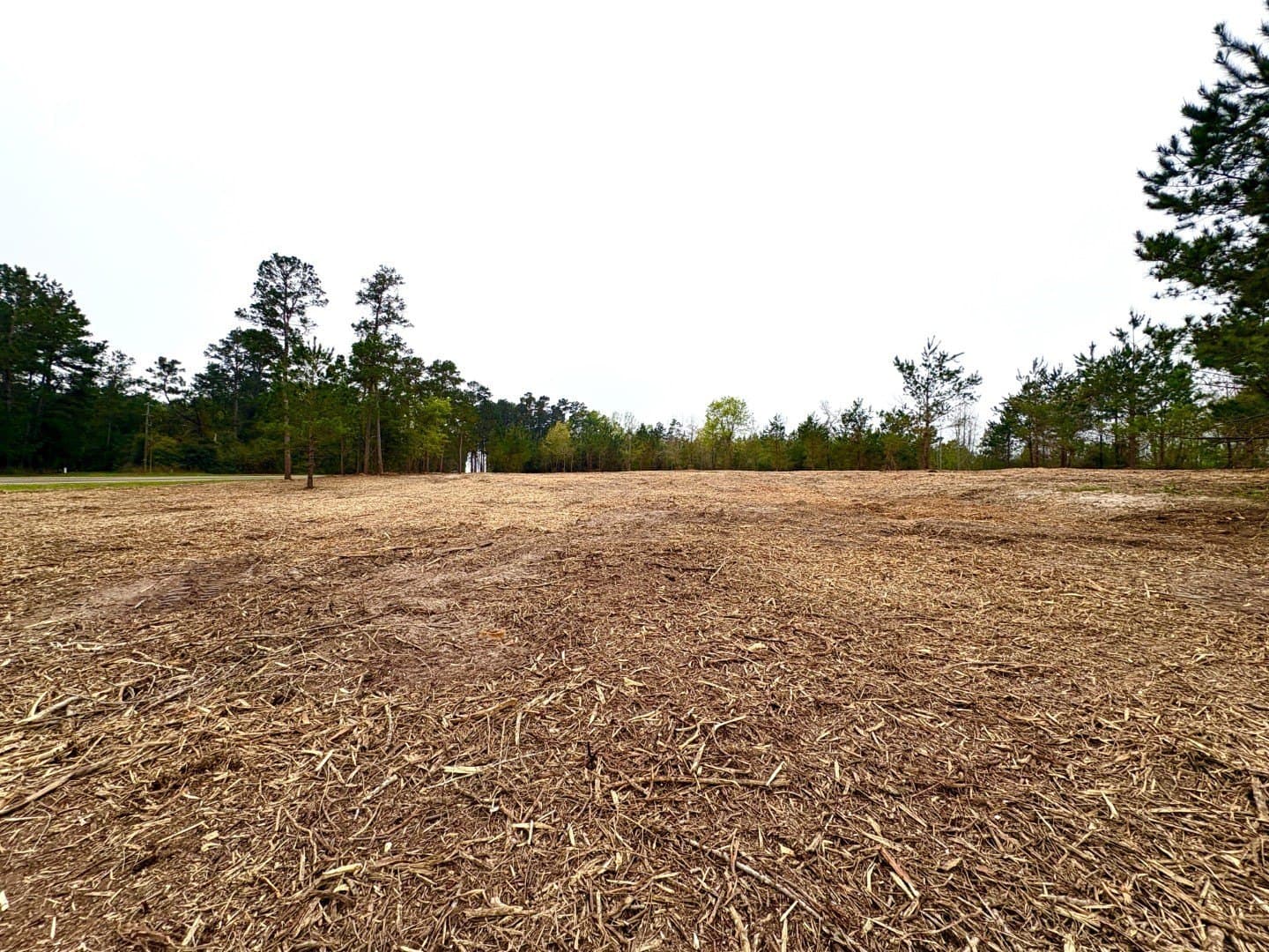 21 acres in Shelby County - photo 3