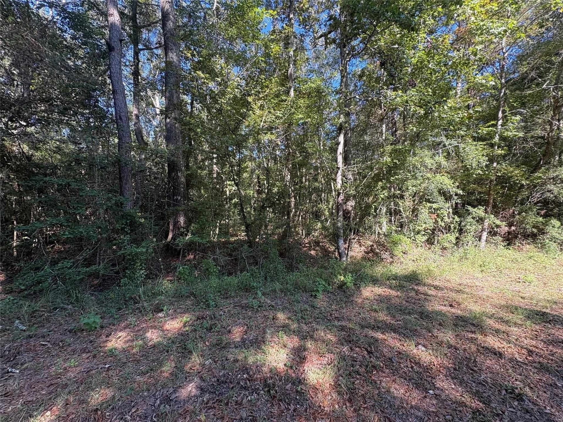 1.96 acres in Hardin County gallery image 2