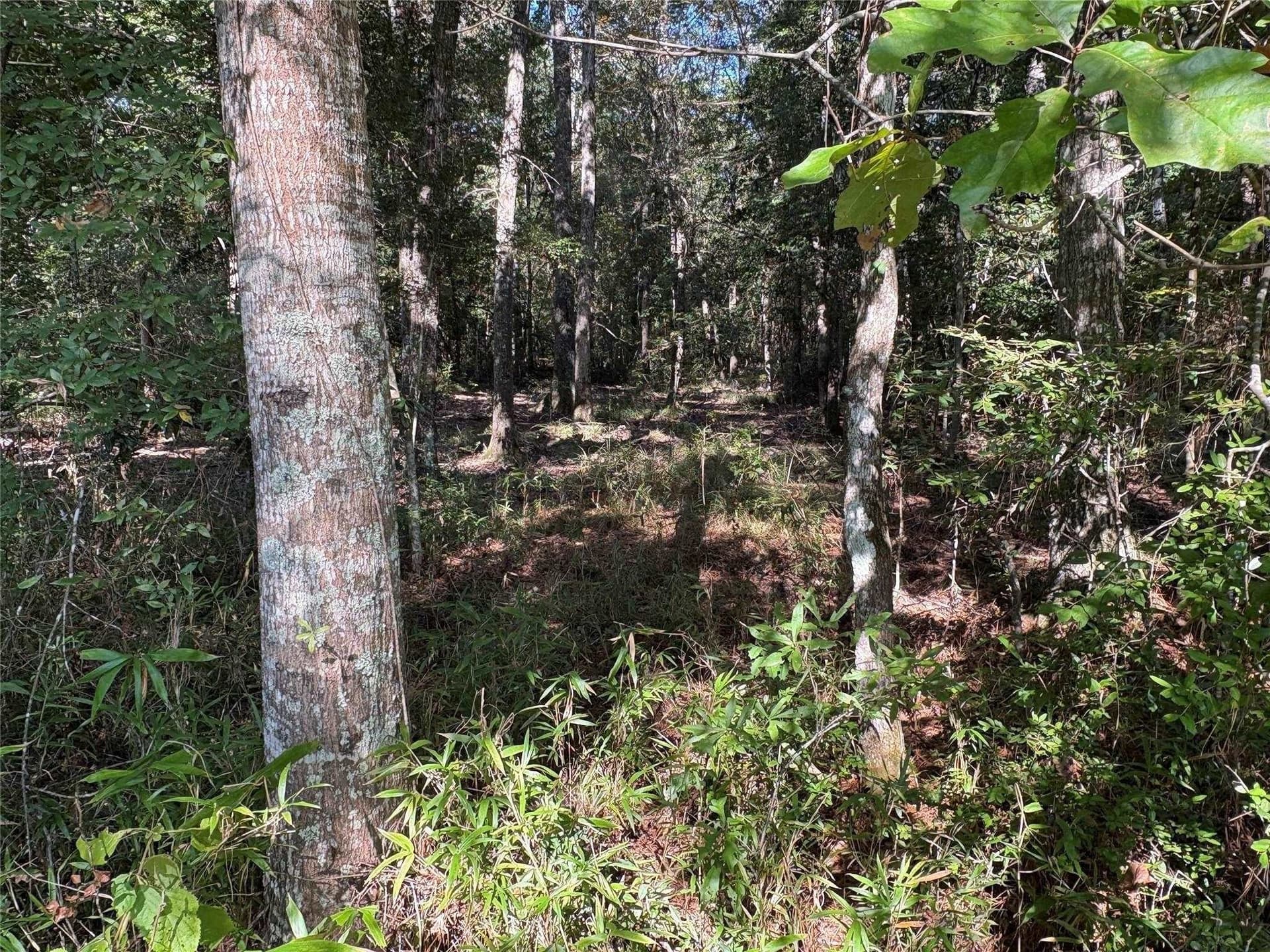 1.96 acres in Hardin County gallery image 3