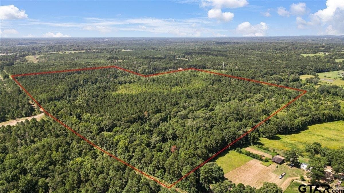 79.49 acres in Harrison County gallery image 4