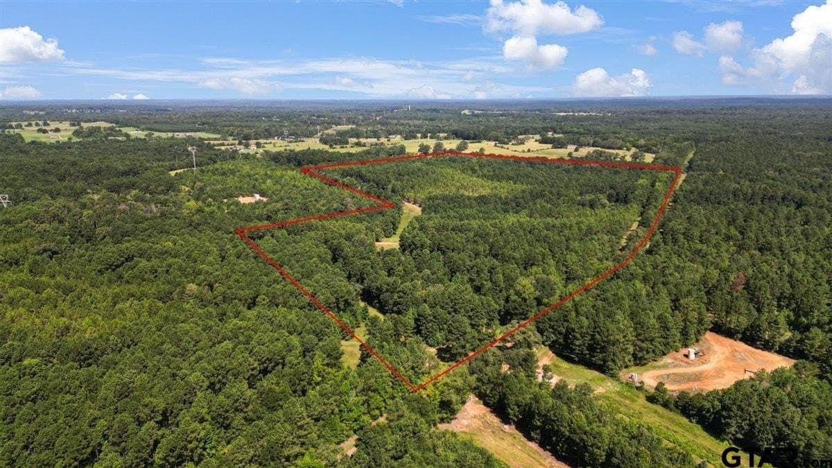 79.49 acres in Harrison County gallery image 3