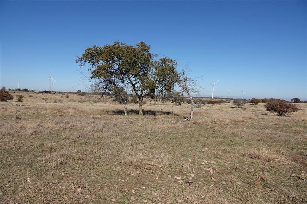 34 acres in Mills County gallery image 3