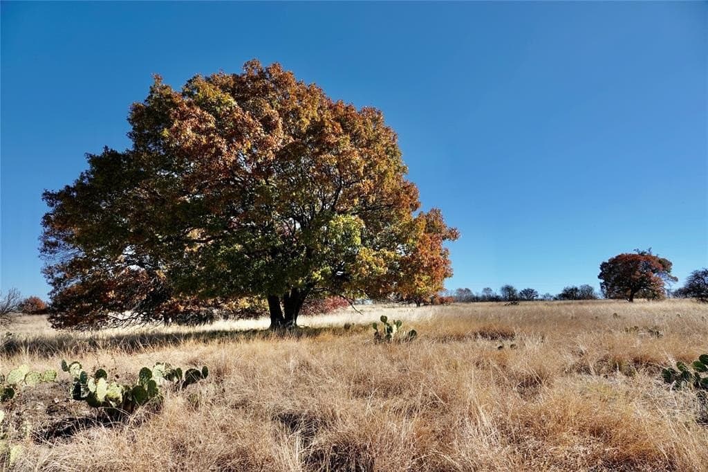 34 acres in Mills County gallery image 2