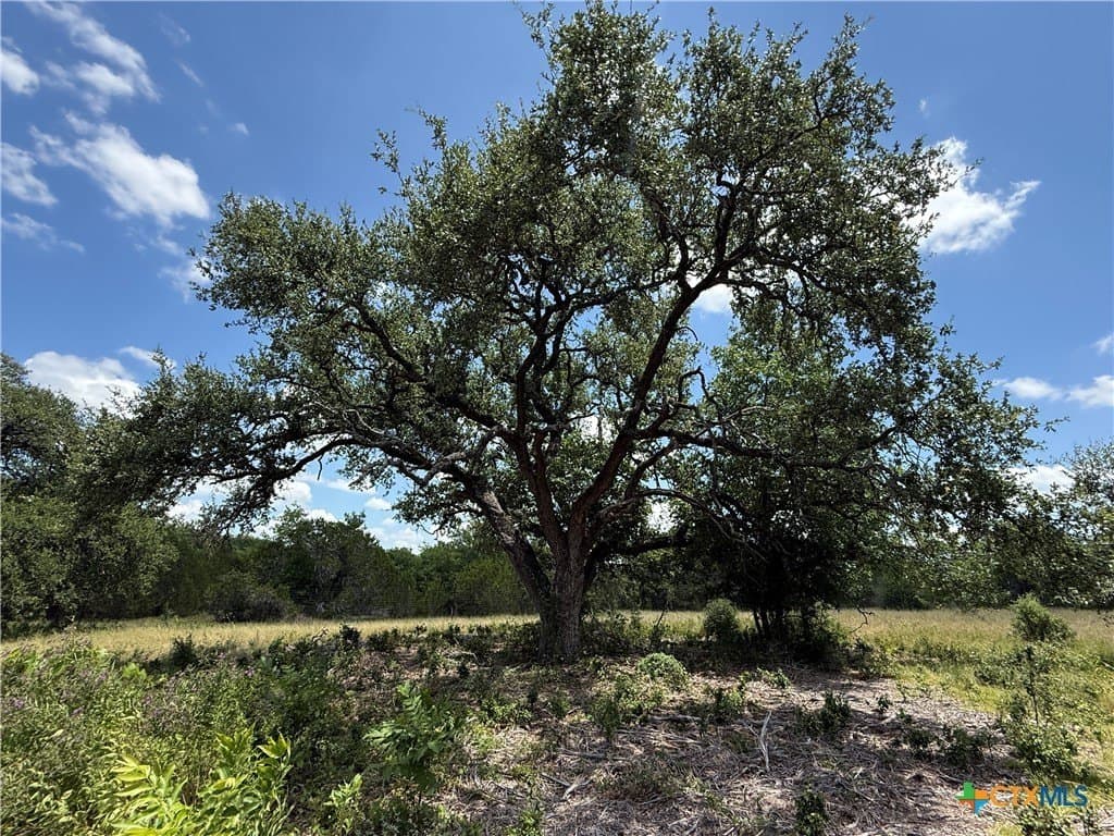 2.15 acres in Bell County featured view