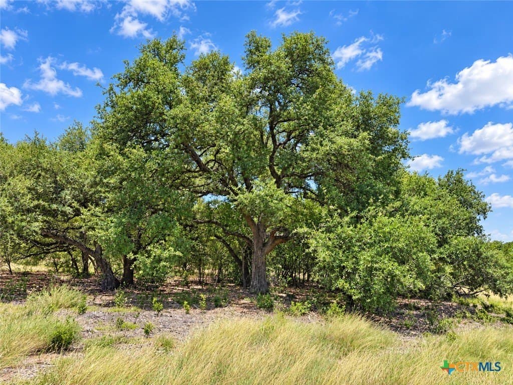 2.15 acres in Bell County - photo 8