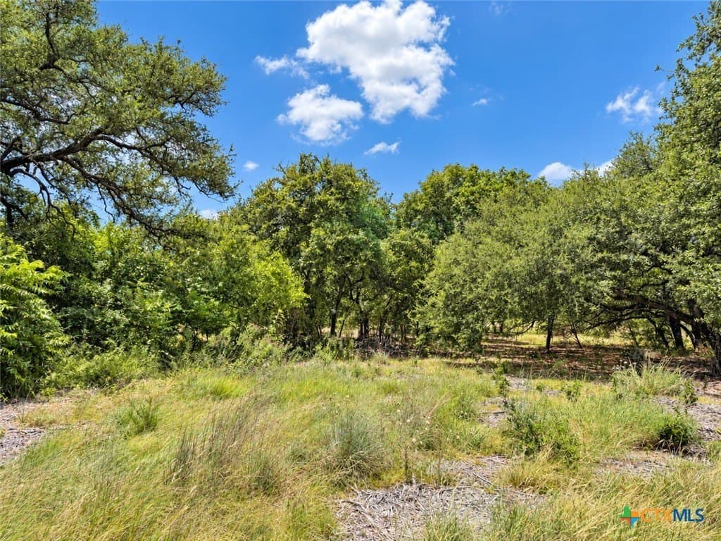 2.15 acres in Bell County - photo 4