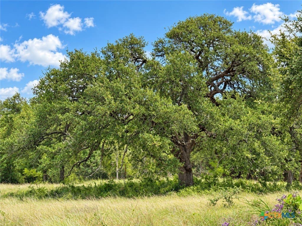 2.15 acres in Bell County - photo 6