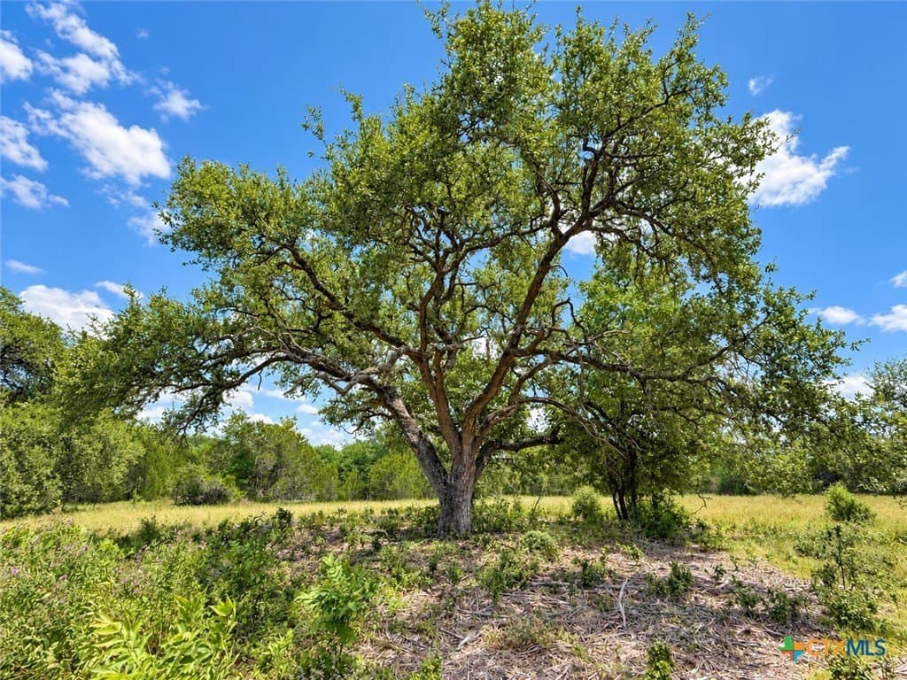 2.15 acres in Bell County - photo 5