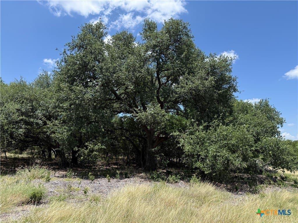 2.15 acres in Bell County gallery image 2
