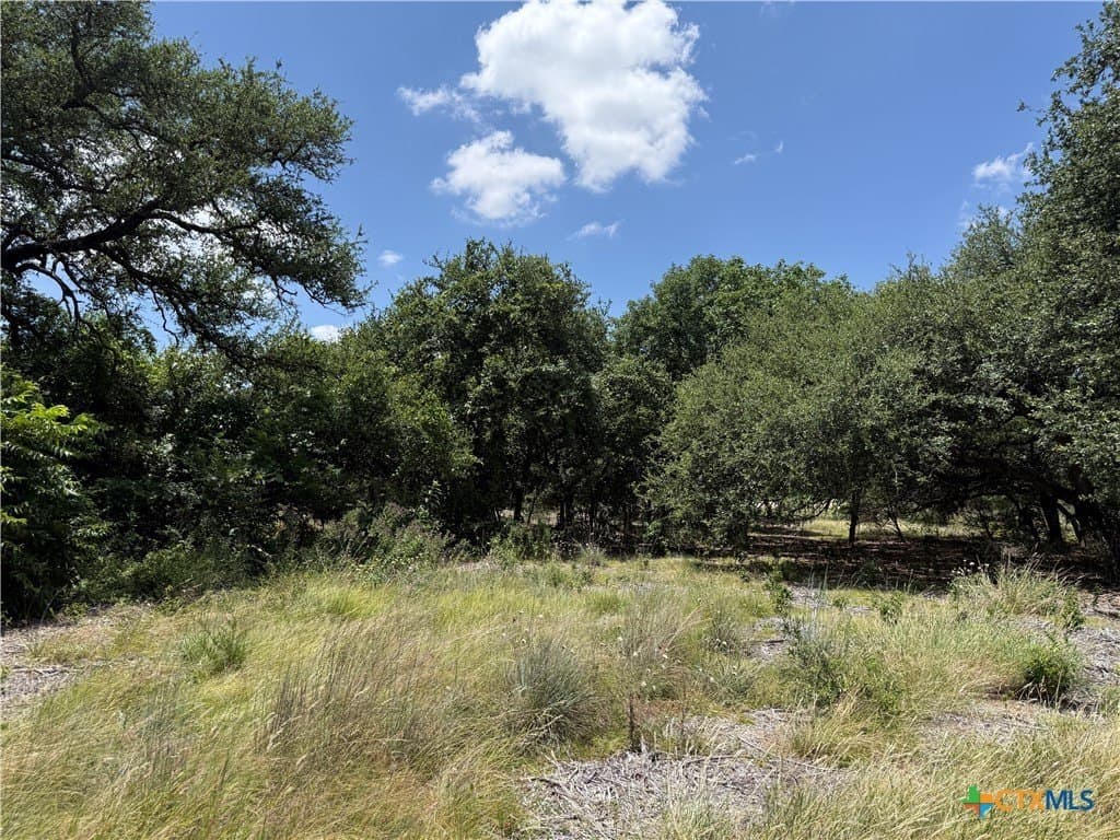 2.15 acres in Bell County - photo 6