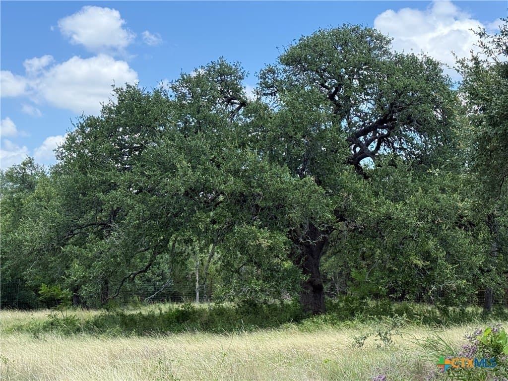 2.15 acres in Bell County gallery image 4