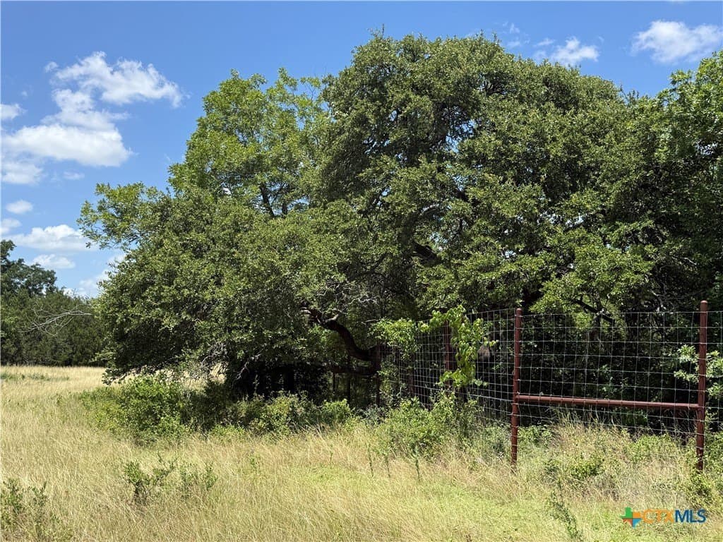 2.15 acres in Bell County gallery image 3