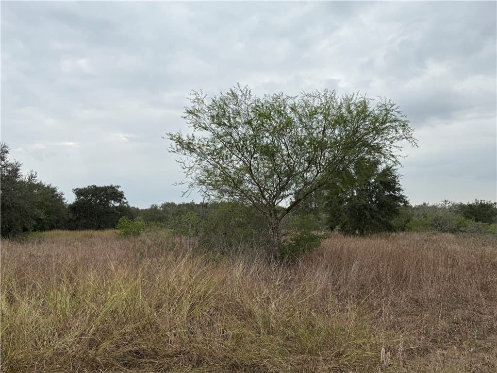 6.11 acres in Bee County featured view