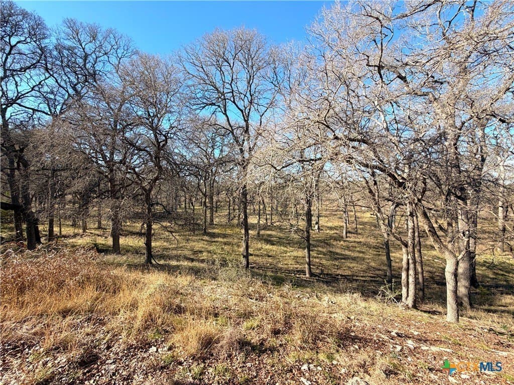 1.19 acres in Comal County gallery image 4