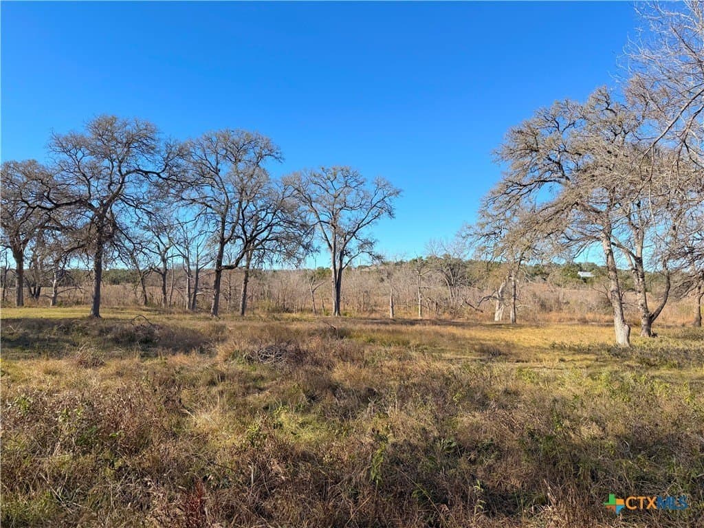 1.19 acres in Comal County - photo 17